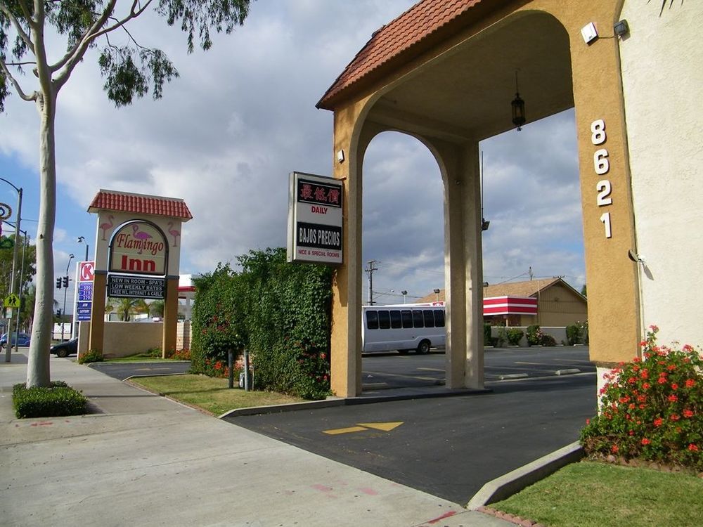 רוזמיד Flamingo Inn מראה חיצוני תמונה