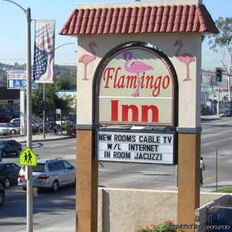 רוזמיד Flamingo Inn מראה חיצוני תמונה